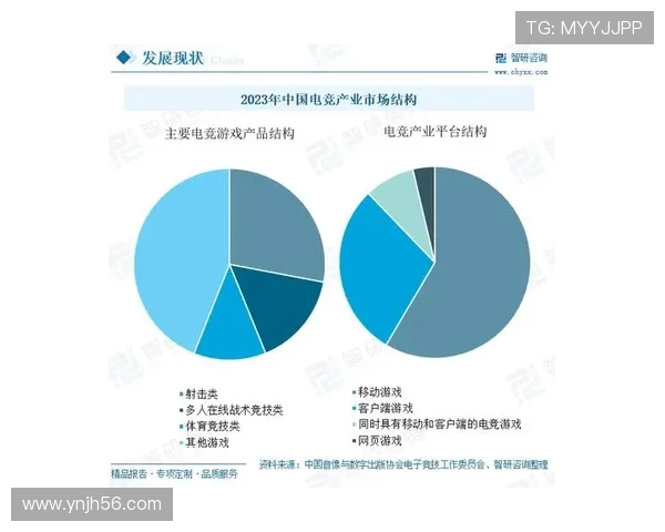 电竞职业联赛全面解析：发展历程、现状与未来趋势探索