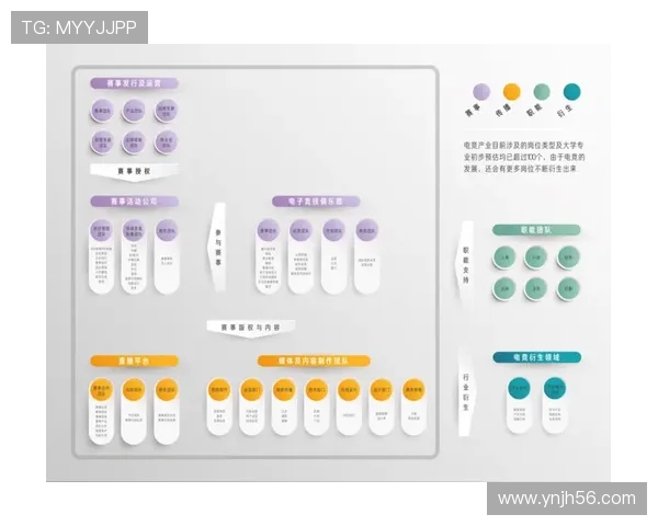 聚焦全球电竞职业联赛发展趋势与产业生态创新路径探索