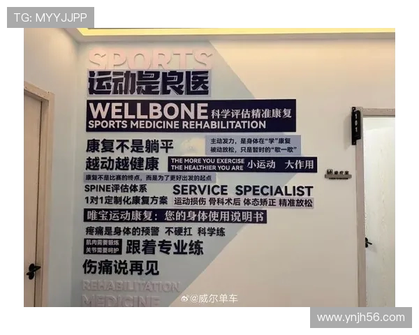 全面健身指南:科学训练与饮食搭配助你塑造完美体型提升健康水平