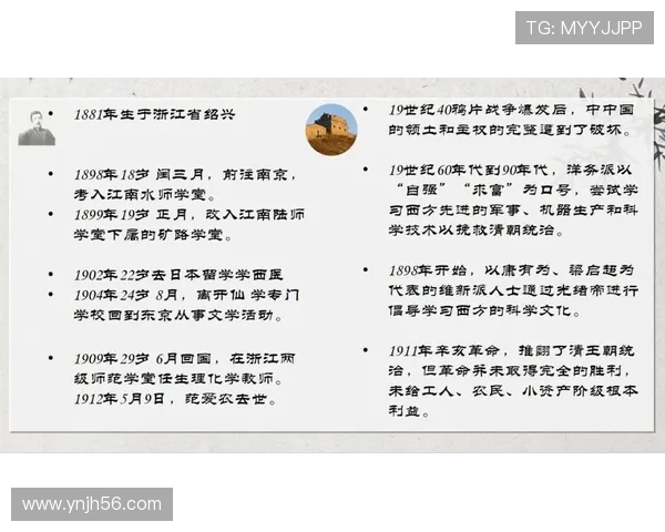 深度探讨王娜的网球人生与职业生涯的精彩瞬间与成长历程