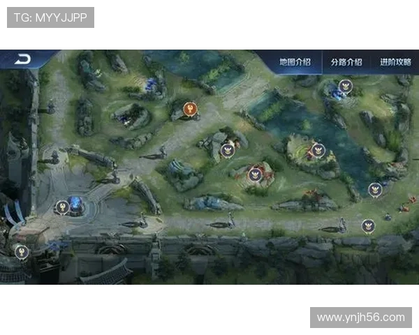 王者荣耀热点分析FPX中路突破战术的深度解读与影响